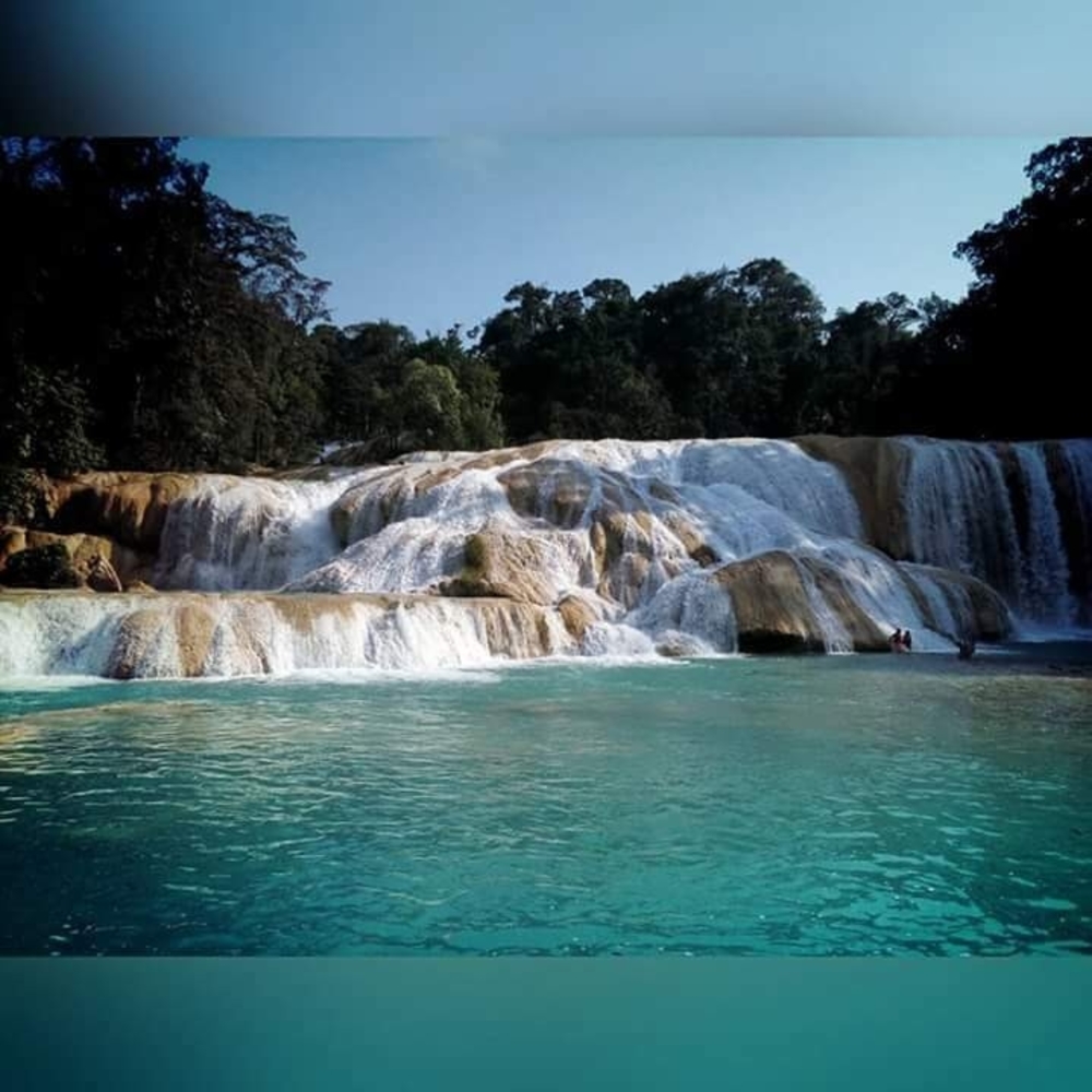 Meet your Posher, Lizett